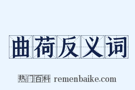曲荷反义词是什么意思的图片